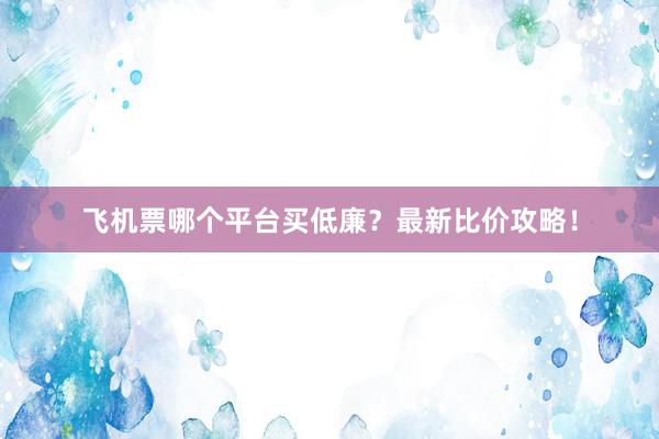 飞机票哪个平台买低廉？最新比价攻略！