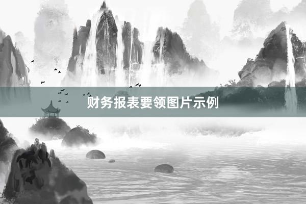 财务报表要领图片示例